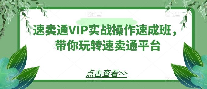 速卖通VIP实战操作速成班，带你玩转速卖通平台-皮皮网创