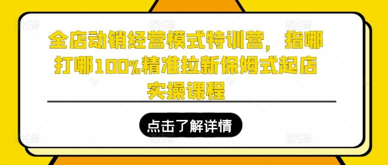 全店动销经营模式特训营，指哪打哪100%精准拉新保姆式起店实操课程-皮皮网创