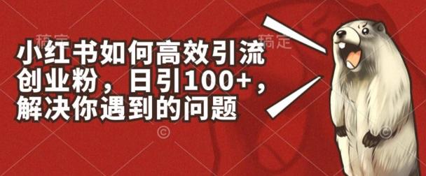 小红书如何高效引流创业粉，日引100+，解决你遇到的问题【揭秘】-皮皮网创