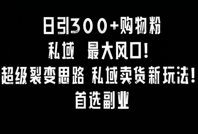 日引300+购物粉，超级裂变思路，私域卖货新玩法，小红书首选副业【揭秘】-皮皮网创