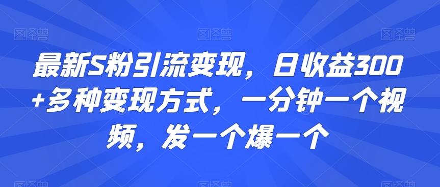 最新S粉引流变现，日收益300+多种变现方式，一分钟一个视频，发一个爆一个【揭秘】-皮皮网创