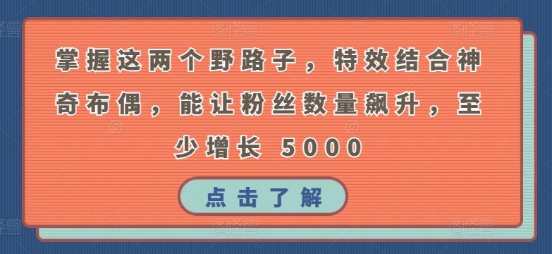 掌握这两个野路子，特效结合神奇布偶，能让粉丝数量飙升，至少增长 5000【揭秘】-皮皮网创