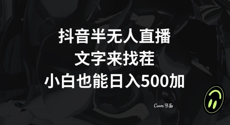 抖音半无人直播，文字来找茬小游戏，每天收益500+【揭秘】-皮皮网创
