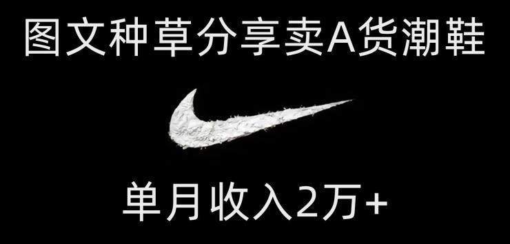 靠图文种草分享卖A货潮鞋，每天一小时，单月收入2万+【揭秘】-皮皮网创