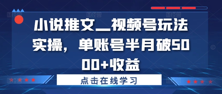小说推文—视频号玩法实操，单账号半月破5000+收益-皮皮网创