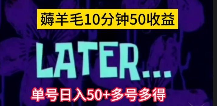 美团薅羊毛玩法，单号日入50+多号多得【仅揭秘】-皮皮网创