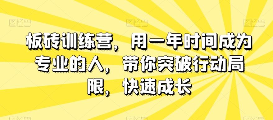 板砖训练营，用一年时间成为专业的人，带你突破行动局限，快速成长-皮皮网创