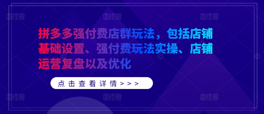 拼多多强付费店群玩法，包括店铺基础设置、强付费玩法实操、店铺运营复盘以及优化-皮皮网创