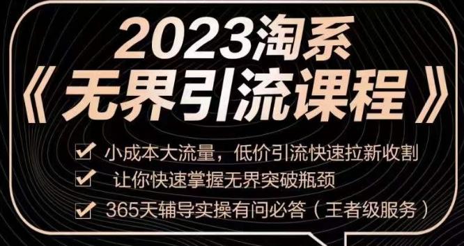 2023淘系无界引流实操课程，​小成本大流量，低价引流快速拉新收割，让你快速掌握无界突破瓶颈-皮皮网创