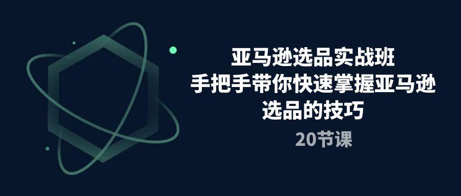 亚马逊选品实战班，手把手带你快速掌握亚马逊选品的技巧(20节课-皮皮网创