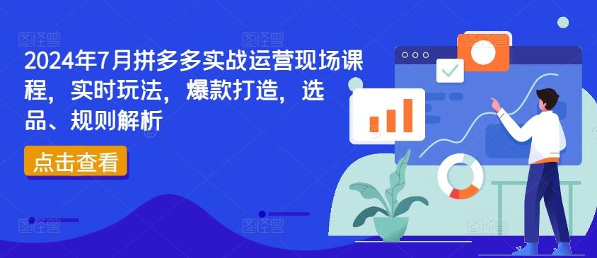 2024年7月拼多多实战运营现场课程，实时玩法，爆款打造，选品、规则解析-皮皮网创