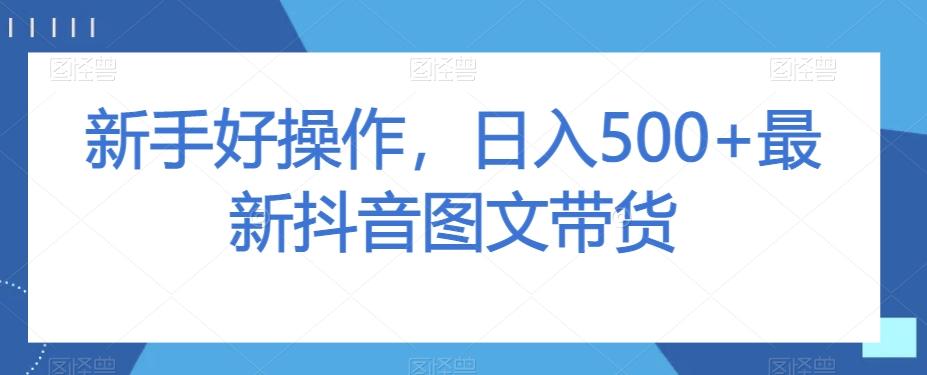 新手好操作，日入500+最新抖音图文带货【揭秘】-皮皮网创