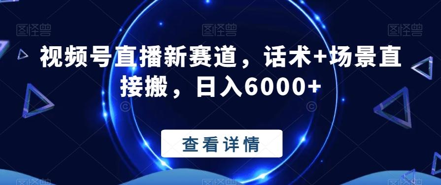 视频号直播新赛道，话术+场景直接搬，日入6000+-皮皮网创