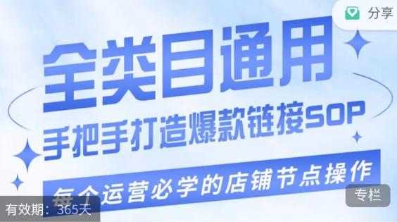 单品爆款打造实操运营，单品爆款从“0”-“1”手把手演练运营步骤-皮皮网创