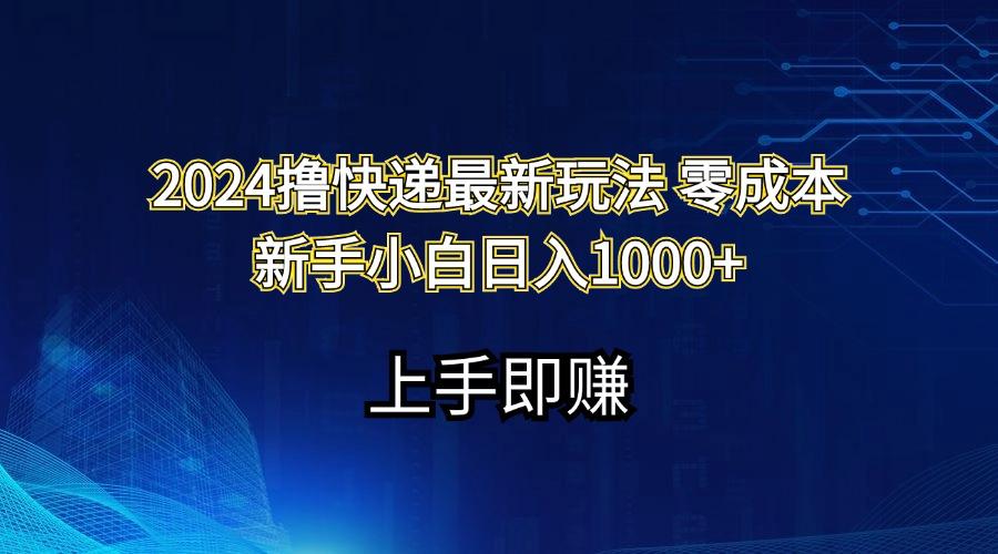 2024撸快递最新玩法零成本新手小白日入1000+-皮皮网创