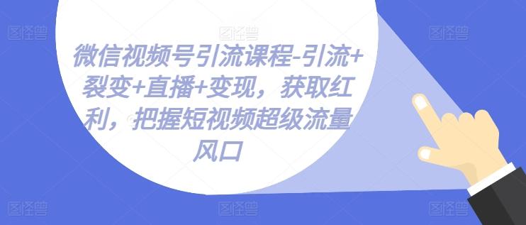 微信视频号引流课程-引流+裂变+直播+变现，获取红利，把握短视频超级流量风口-皮皮网创