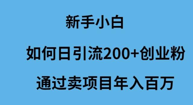 (9668期)新手小白如何日引流200+创业粉通过卖项目年入百万-皮皮网创