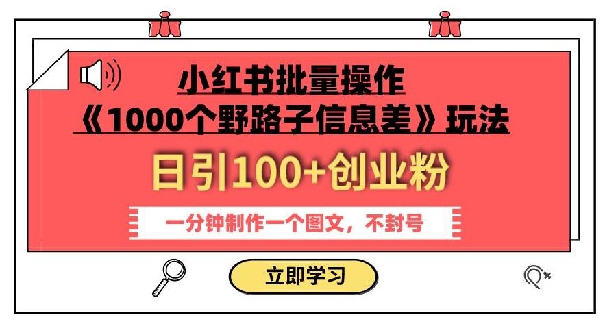 小红书批量操作《1000个野路子信息差》玩法，一分钟制作一个图文，不封号，日引100+创业粉-皮皮网创