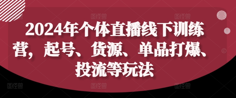 2024年个体直播训练营，起号、货源、单品打爆、投流等玩法-皮皮网创
