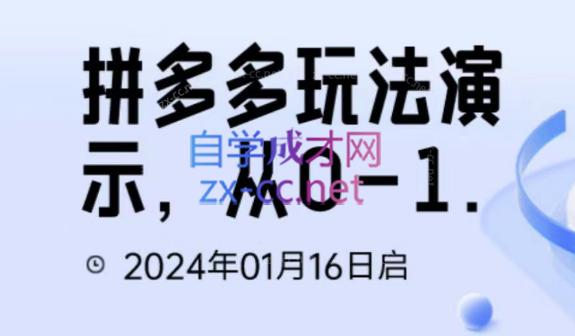 吴老师·拼多多从选品到截流到付费的玩法技巧-皮皮网创