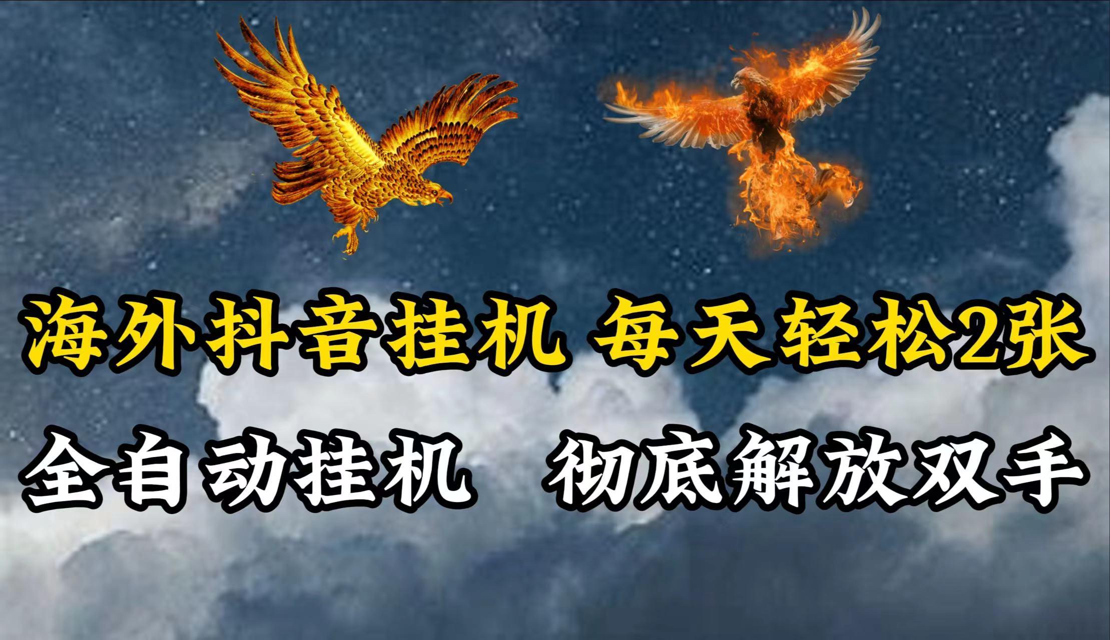 海外抖音挂机，每天轻松2张，全自动挂机，彻底解放双手！-皮皮网创