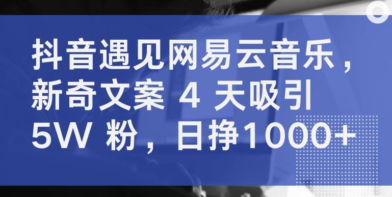 抖音遇见网易云音乐，新奇文案 4 天吸引 5W 粉，日挣1000+【揭秘】-皮皮网创