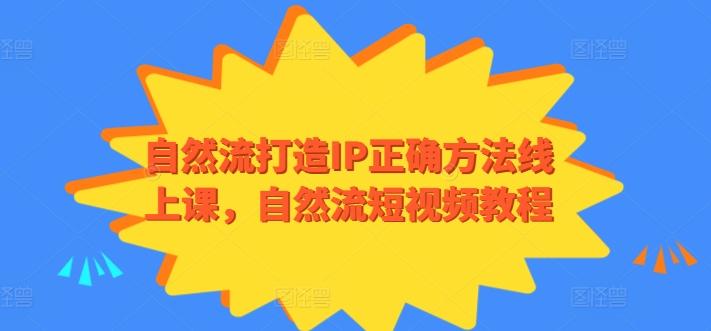 自然流打造IP正确方法线上课，自然流短视频教程-皮皮网创