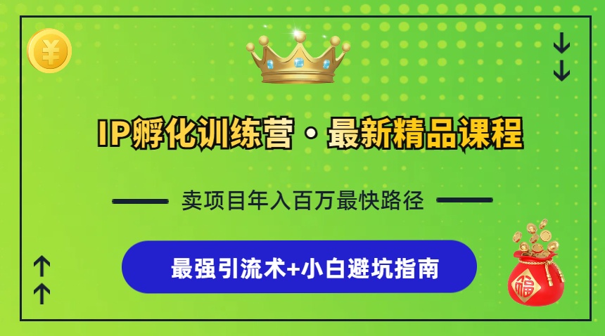 IP孵化训练营，知识付费全流程+最强引流术+小白避坑指南-皮皮网创