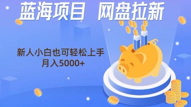 蓝海项目网盘拉新，新人小白也可操作，每月收入5000+-皮皮网创