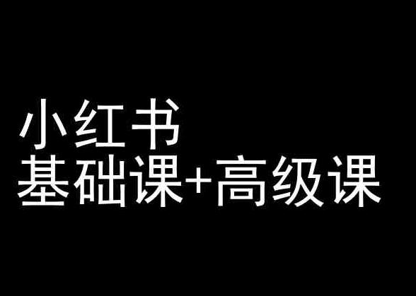 小红书基础课+高级课-小红书运营教程-皮皮网创