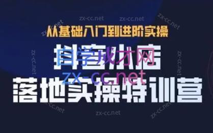 全哥·抖音小店实操玩法-皮皮网创