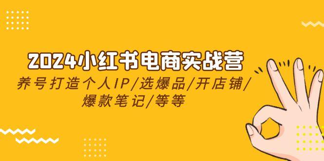 2024小红书电商实战营，养号打造IP/选爆品/开店铺/爆款笔记/等等(24节)-皮皮网创