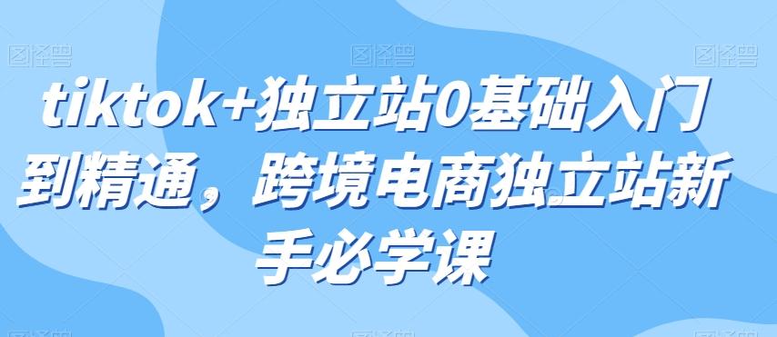 tiktok+独立站0基础入门到精通，跨境电商独立站新手必学课-皮皮网创