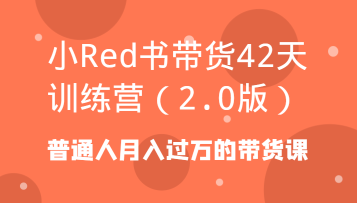 小Red书带货42天训练营(2.0版)普通人月入过万的带货课-皮皮网创