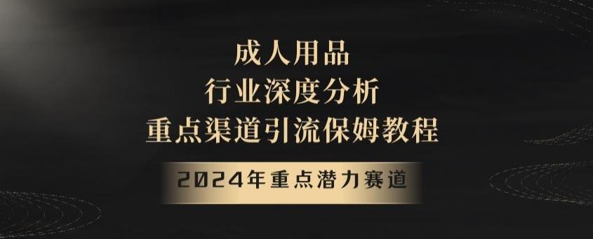 2024年重点潜力赛道，成人用品行业深度分析，重点渠道引流保姆教程【揭秘】-皮皮网创