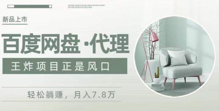 度盘代理，月入7w保姆级全方位教程-皮皮网创