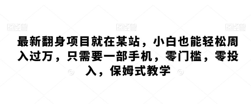 最新翻身项目就在某站，小白也能轻松周入过万，只需要一部手机，零门槛，零投入，保姆式教学-皮皮网创