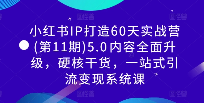 小红书IP打造60天实战营(第11期)5.0​内容全面升级，硬核干货，一站式引流变现系统课-皮皮网创