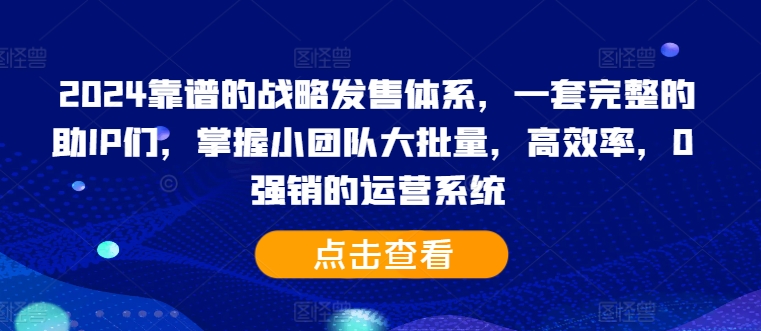 2024靠谱的战略发售体系，一套完整的助IP们，掌握小团队大批量，高效率，0 强销的运营系统-皮皮网创