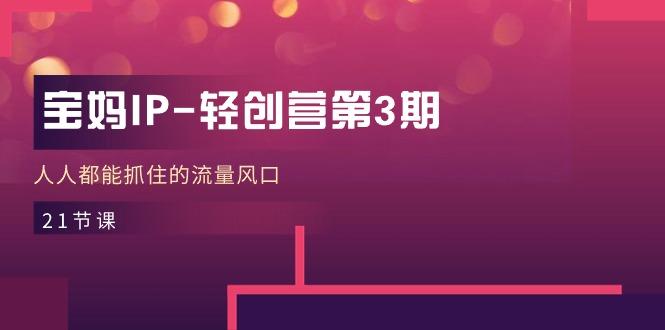 宝妈IP-轻创营第3期，人人都能抓住的流量风口(21节课-皮皮网创