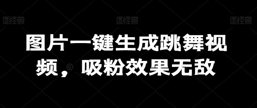 图片一键生成跳舞视频，吸粉效果无敌-皮皮网创