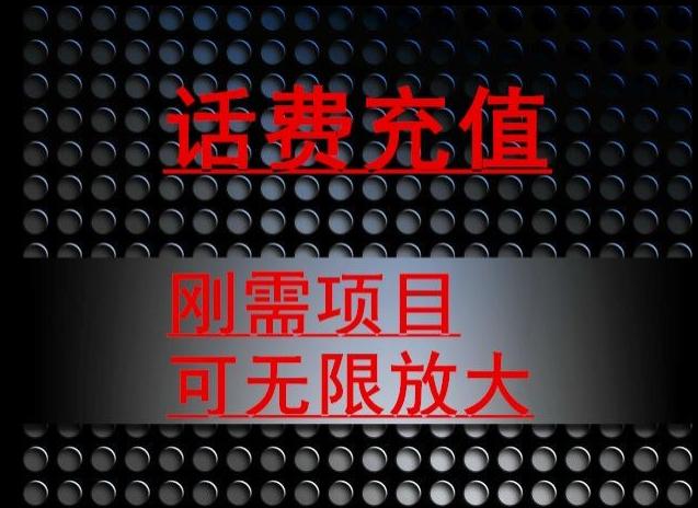 最新蓝海项目，刚需赛道，95折充话费月入5位数-皮皮网创