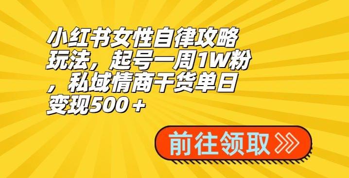 小红书女性自律攻略玩法，起号一周1W粉，私域情商干货单日变现500＋-皮皮网创