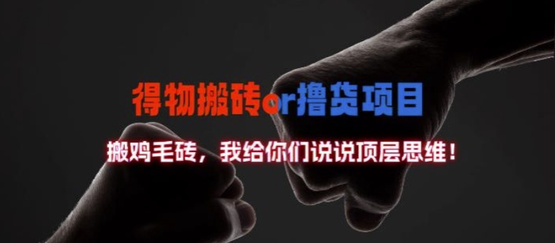 得物搬砖撸货项目?掰下数据,我给你们说说顶层思维【揭秘】-皮皮网创