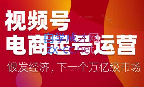 陈大黑牛·视频号电商起号运营课(更新到24年5月)-皮皮网创