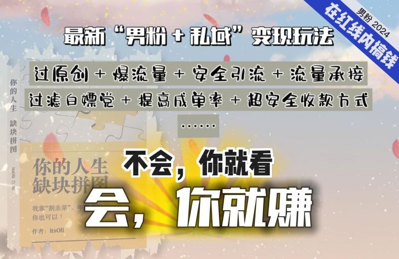 2024，“男粉+私域”还是最耐造、最赚、最轻松、最愉快的变现方式【揭秘】-皮皮网创