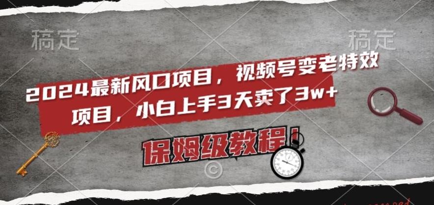 2024最新风口项目，视频号变老特效项目，电脑小白上手3天卖了3w+，保姆级教程【揭秘】-皮皮网创