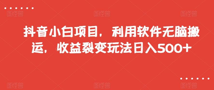 抖音小白项目，利用软件无脑搬运，收益裂变玩法日入500+【揭秘】-皮皮网创