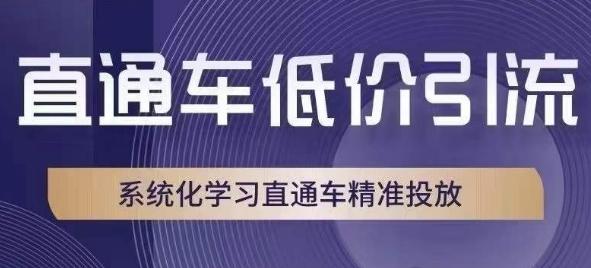 直通车低价引流课，系统化学习直通车精准投放-皮皮网创