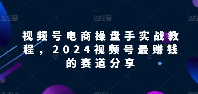 视频号电商实战教程，2024视频号最赚钱的赛道分享-皮皮网创